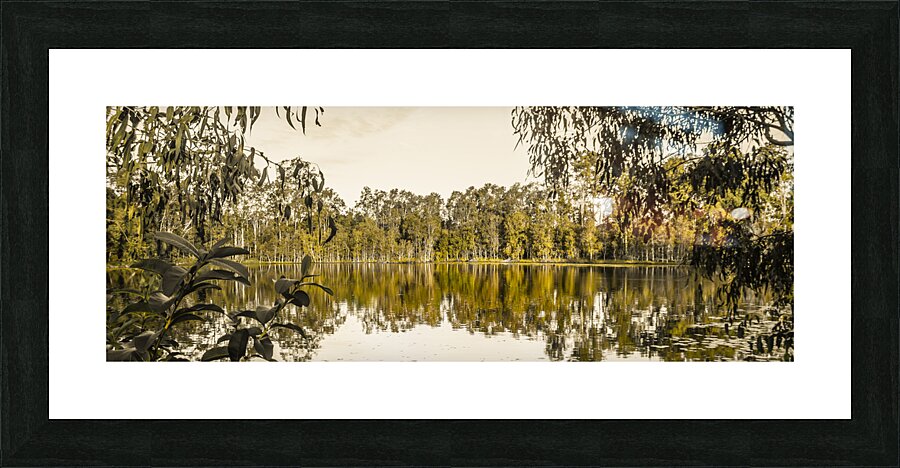 Reflective rivers Picture Frame print