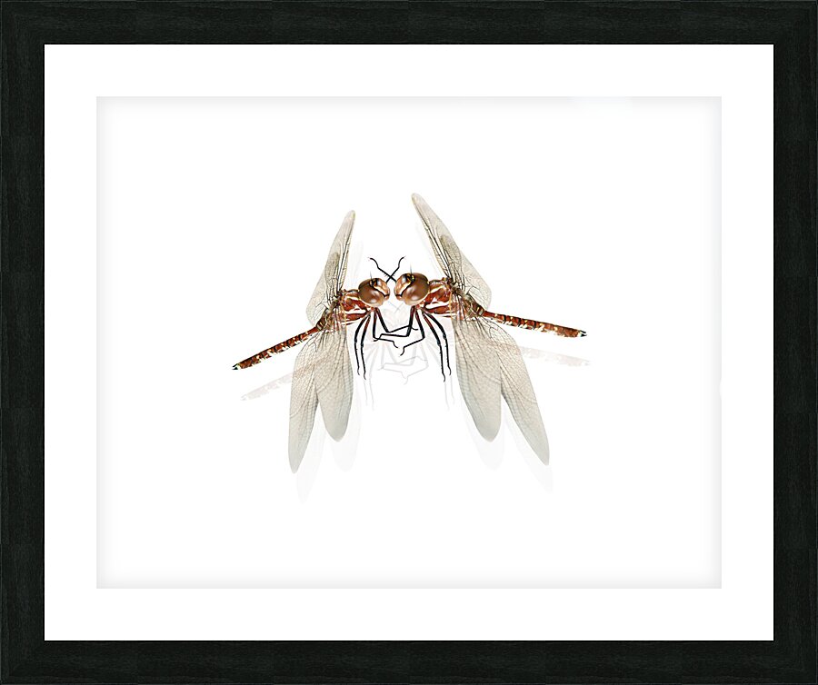 The Great Romanticism Picture Frame print