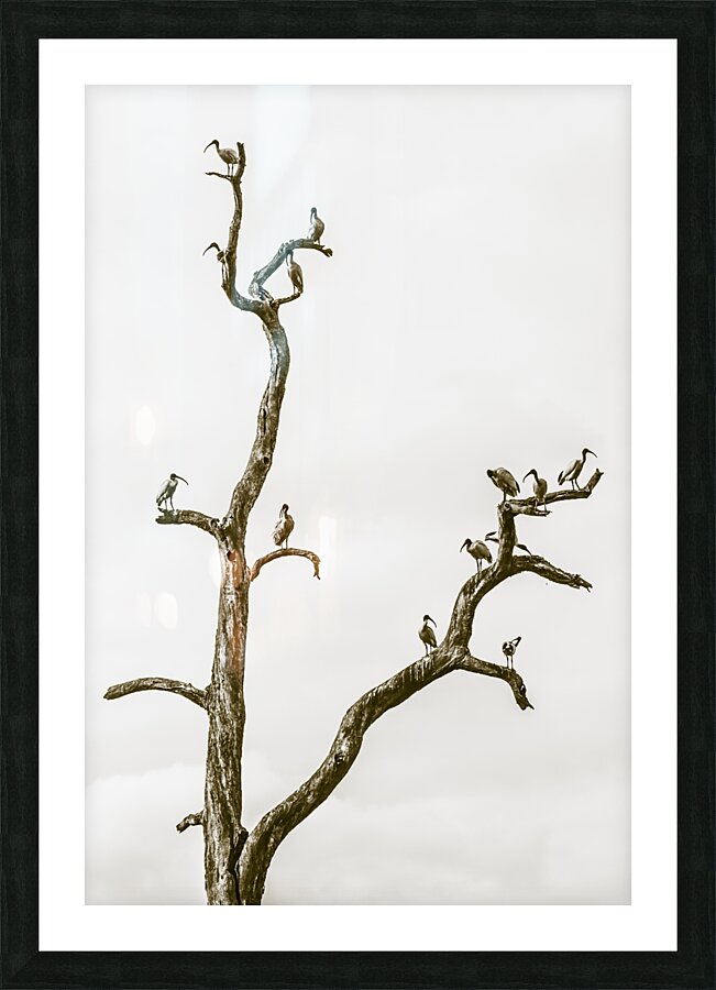 Deadwood Picture Frame print