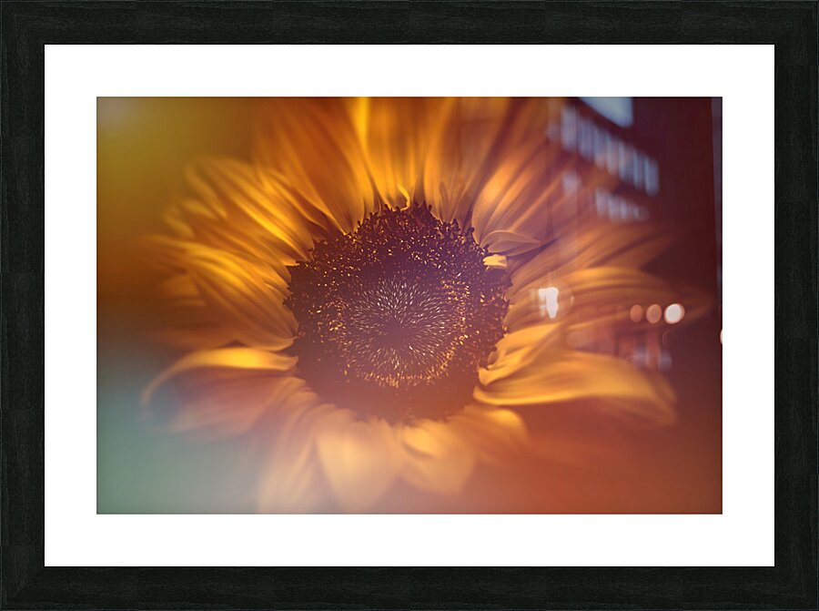 Flower flare Picture Frame print