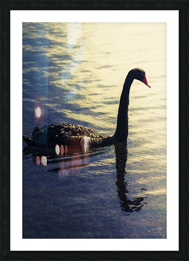 Edge of the wild Picture Frame print