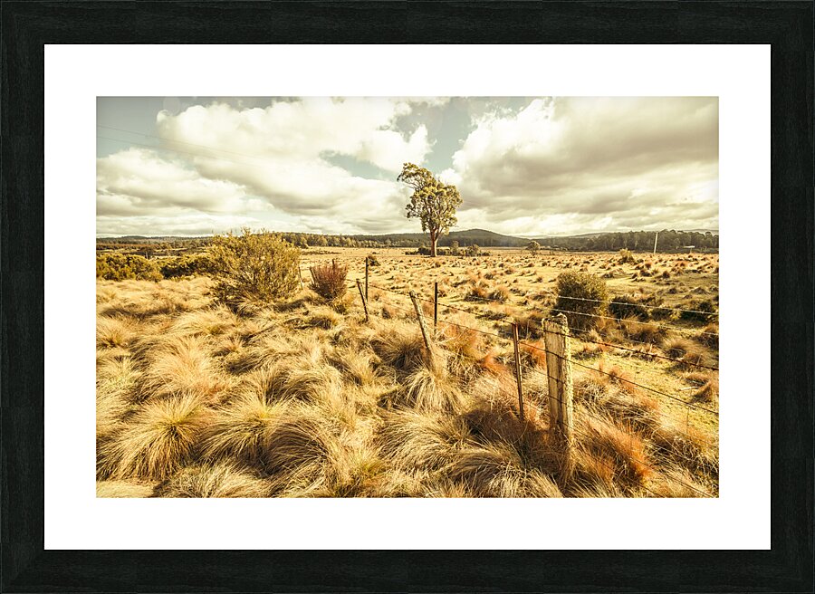 Rugged Australian pastures Picture Frame print