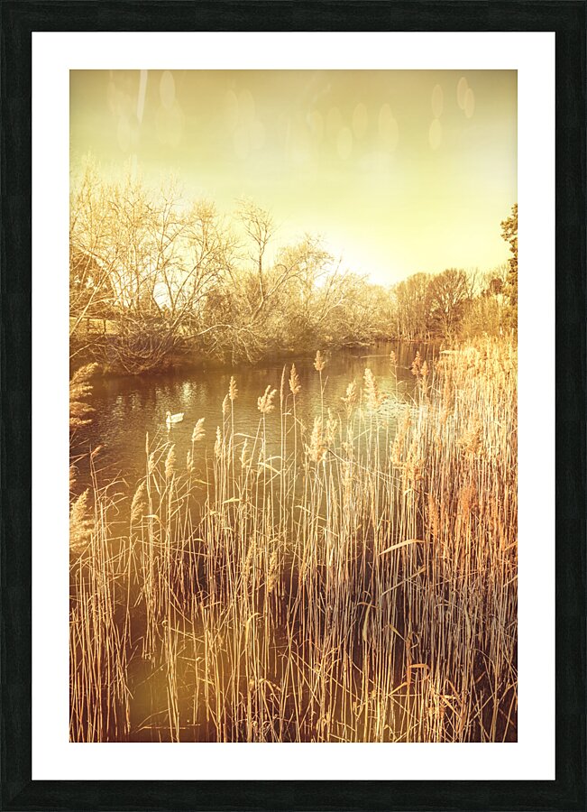 Richmond Tasmania riverscape Picture Frame print