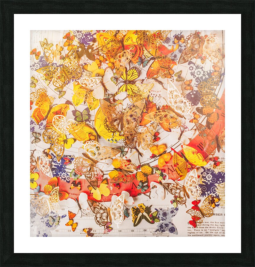 Butterflies and maps Picture Frame print