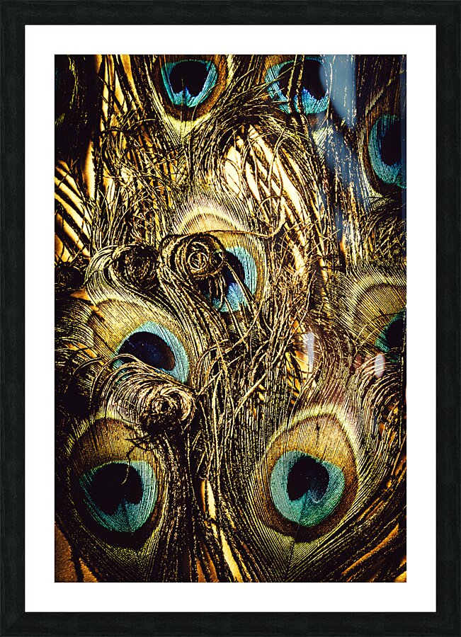 Feathery layers Picture Frame print