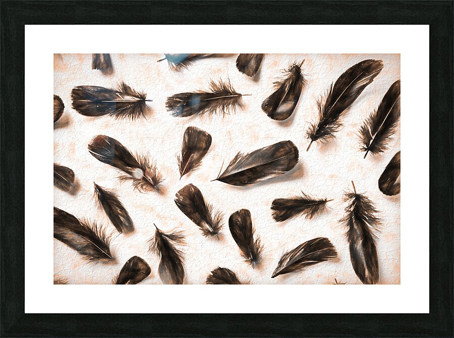 A feathery foray Picture Frame print