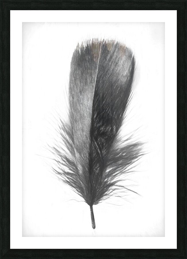 Pencil plume Picture Frame print