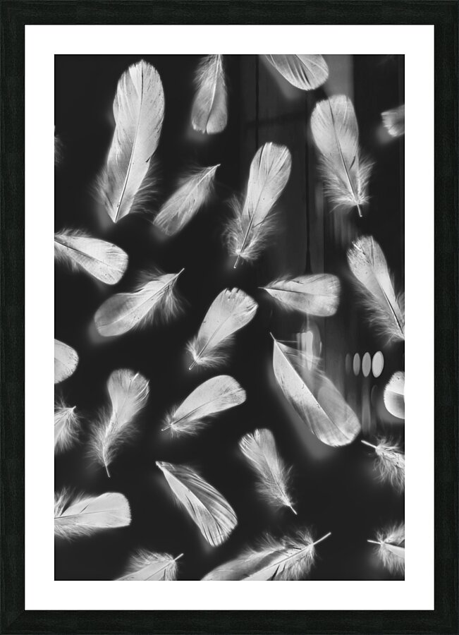 Fluff and feather Picture Frame print