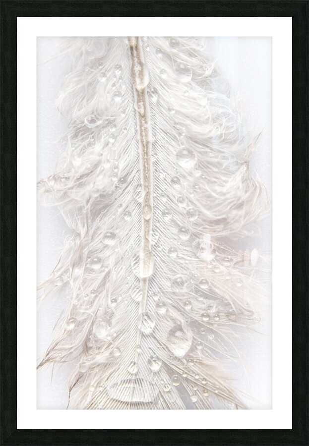 Waterproof Picture Frame print