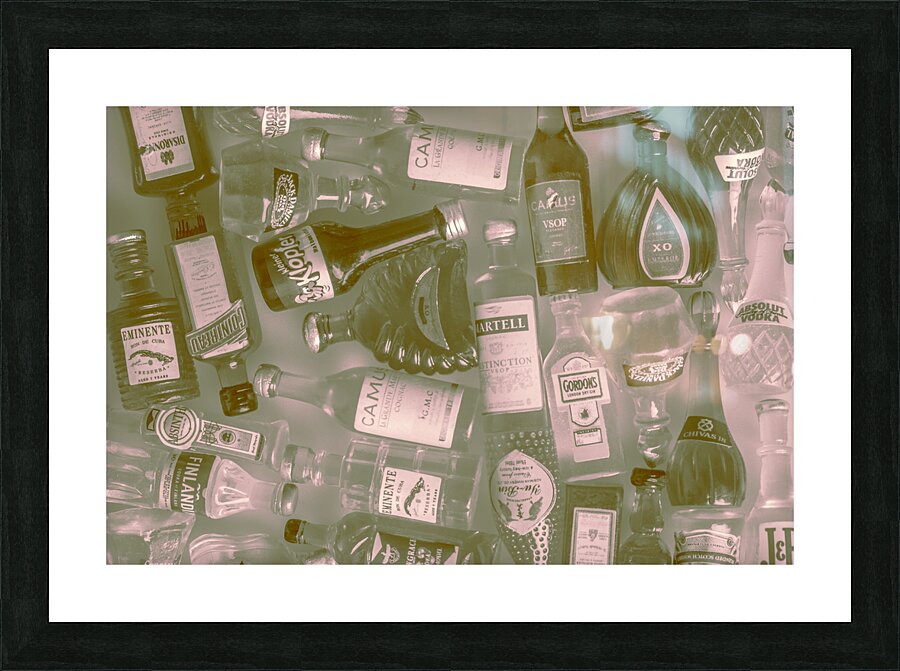 Ageless Picture Frame print