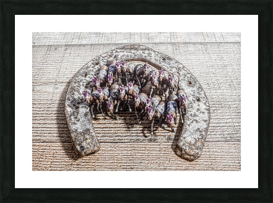 Horse play Picture Frame print