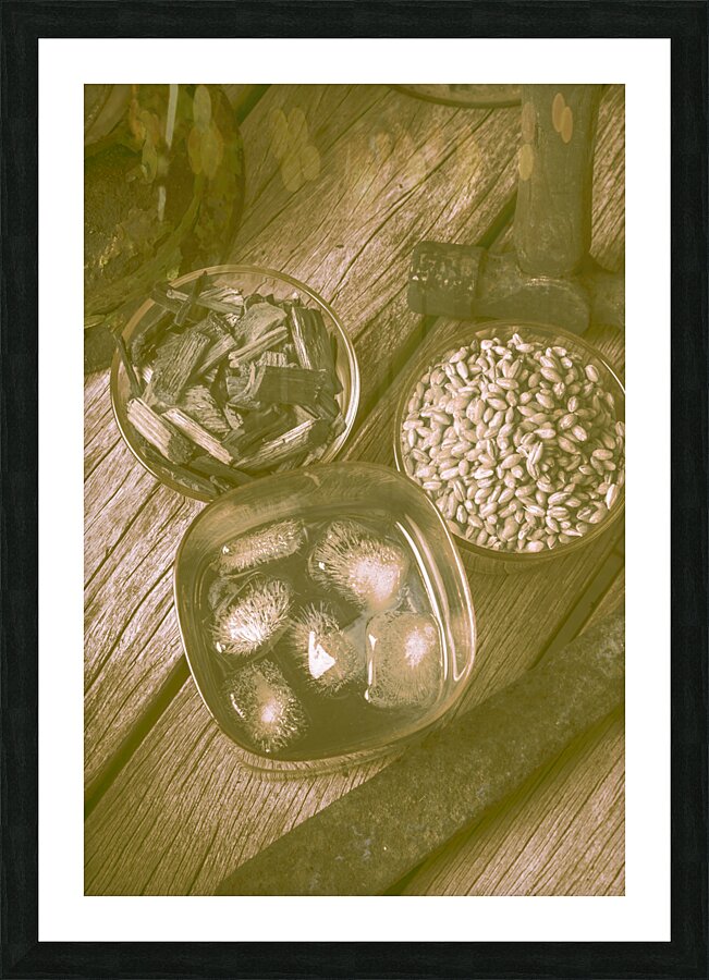 Chips off the old barrel Picture Frame print