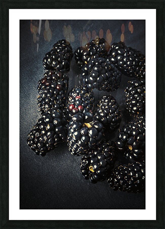 Blackberries on black Picture Frame print