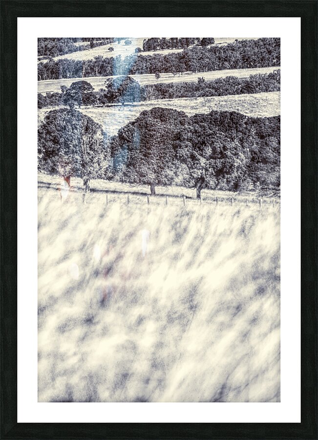 Grasslands Picture Frame print