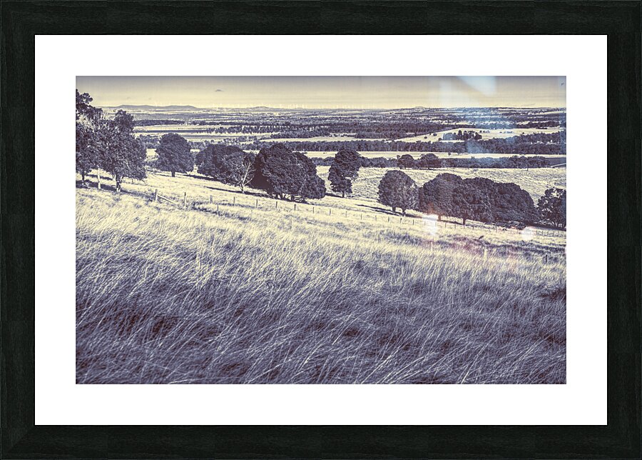 Sloping serenity Picture Frame print