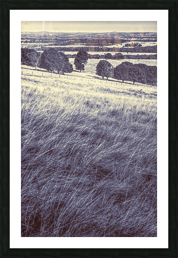 Kingaroy country Picture Frame print