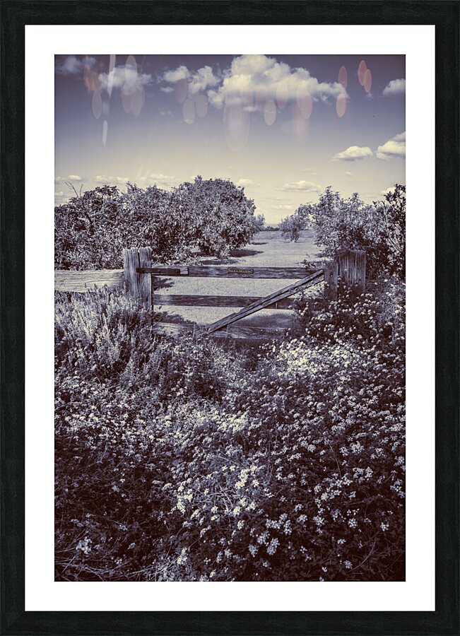Rustic farm gate Picture Frame print