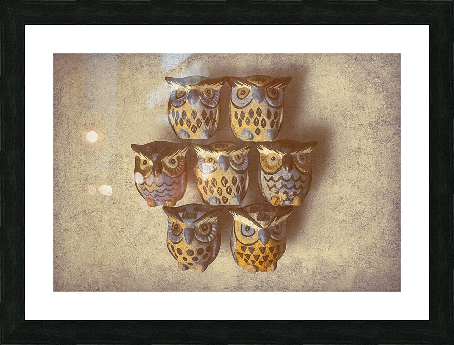 Owlnate Picture Frame print