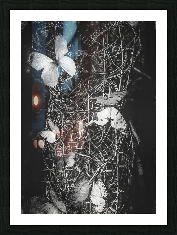 Desimilation  Picture Frame print