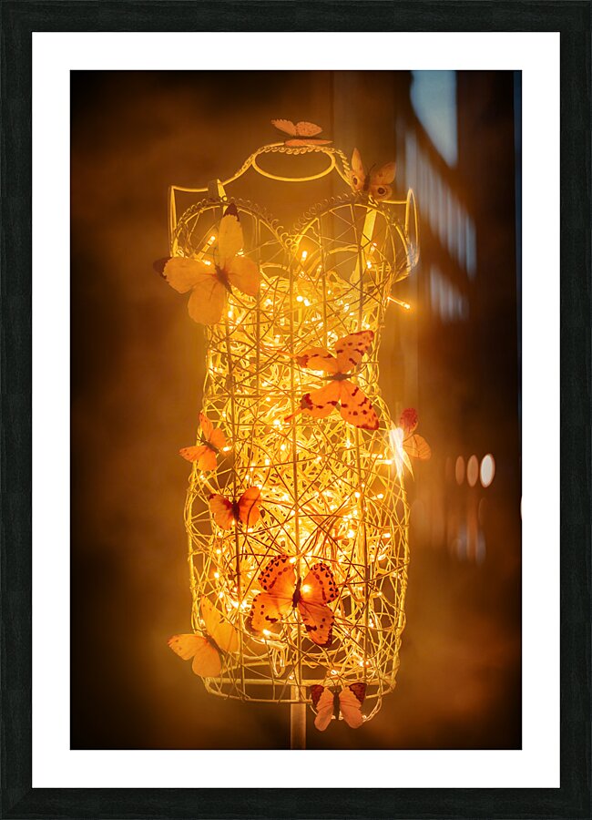 Free Flight To Free Form Picture Frame print