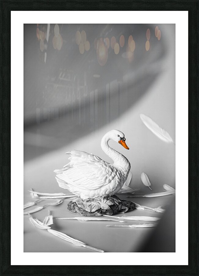 Obscured by floating feathers Picture Frame print