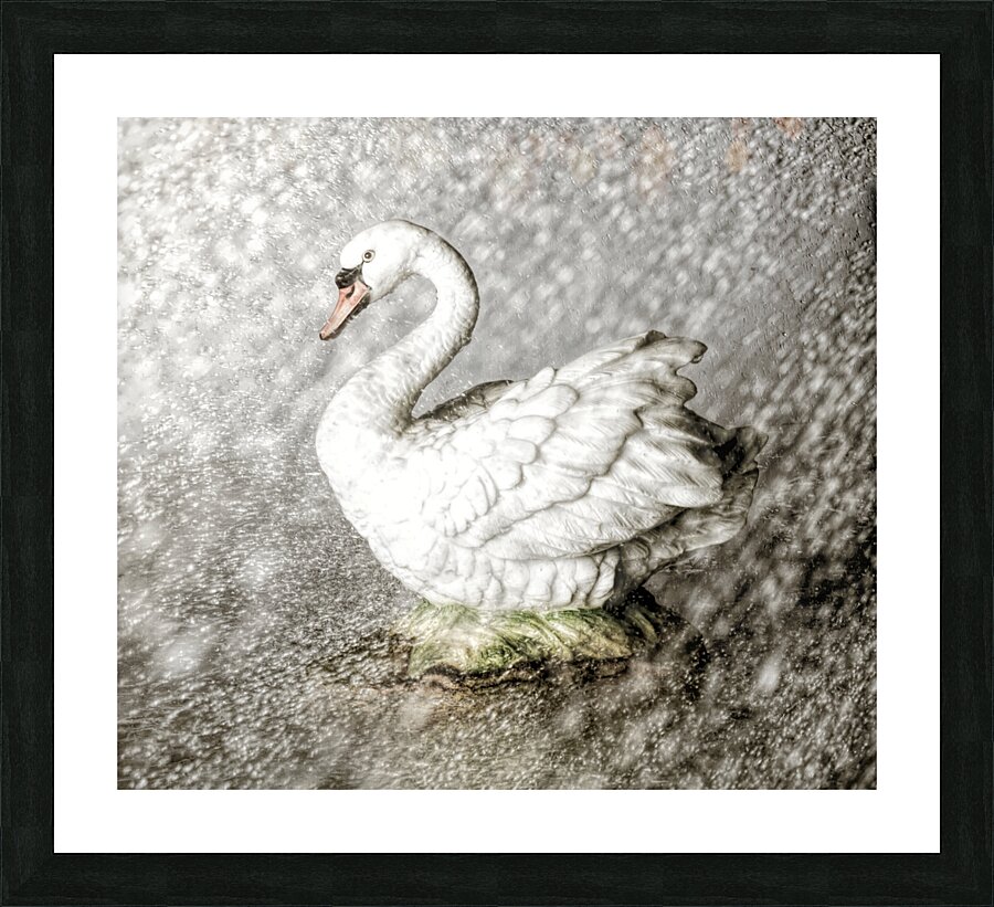 In the mist of rains Picture Frame print