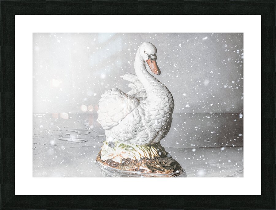 Porcelain winters Picture Frame print