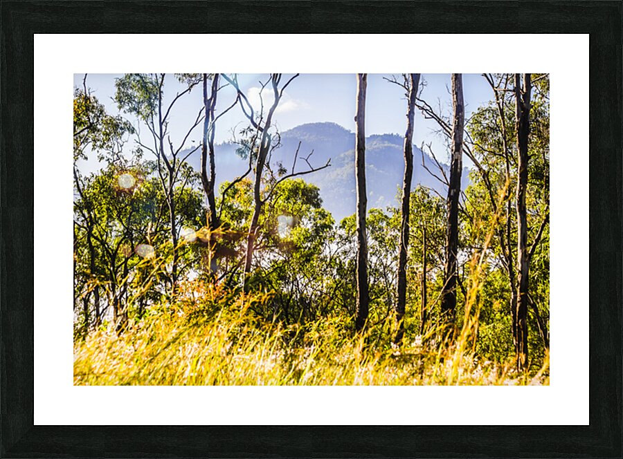 Mount Perry Picture Frame print