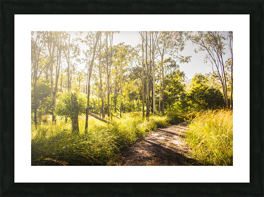 Nature Lovers Lane Picture Frame print