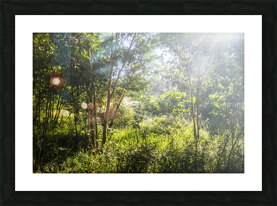 Green Wilds Picture Frame print