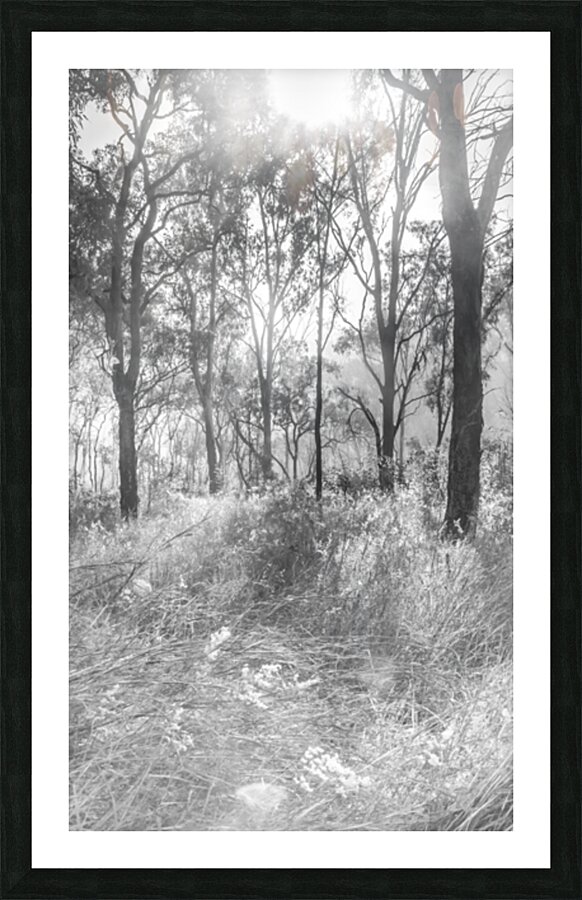 Grey Vertices  Picture Frame print