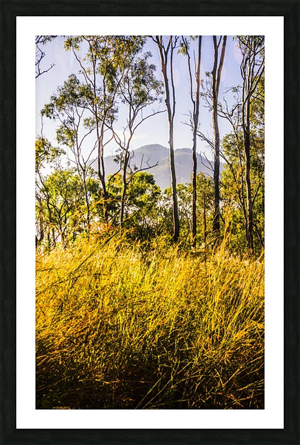 Heartland of Gold Picture Frame print