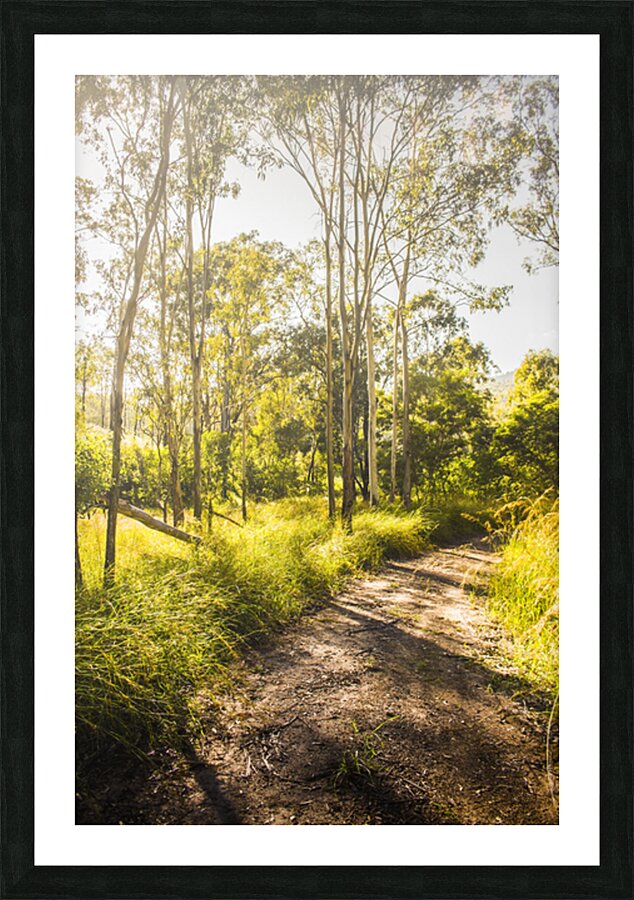 Wilderness Way Picture Frame print