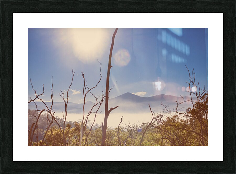 Gently Abounding Picture Frame print