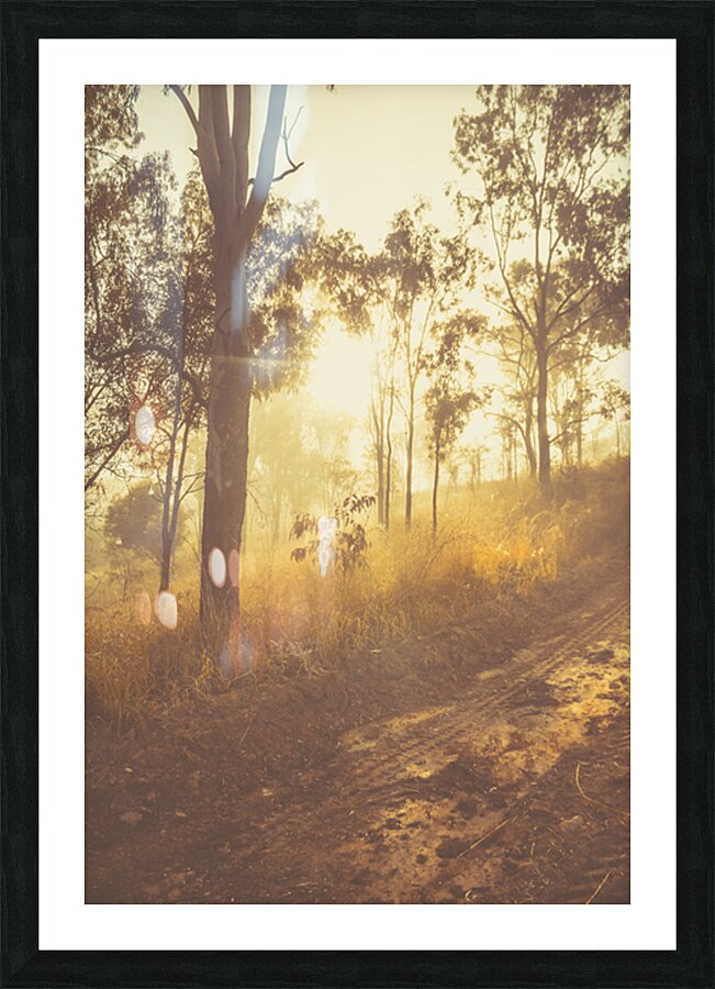 Dirt Road Dawn Picture Frame print