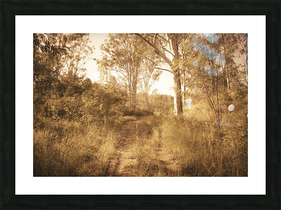 Autumn Wander Picture Frame print