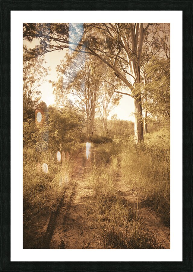 Through Fall Picture Frame print