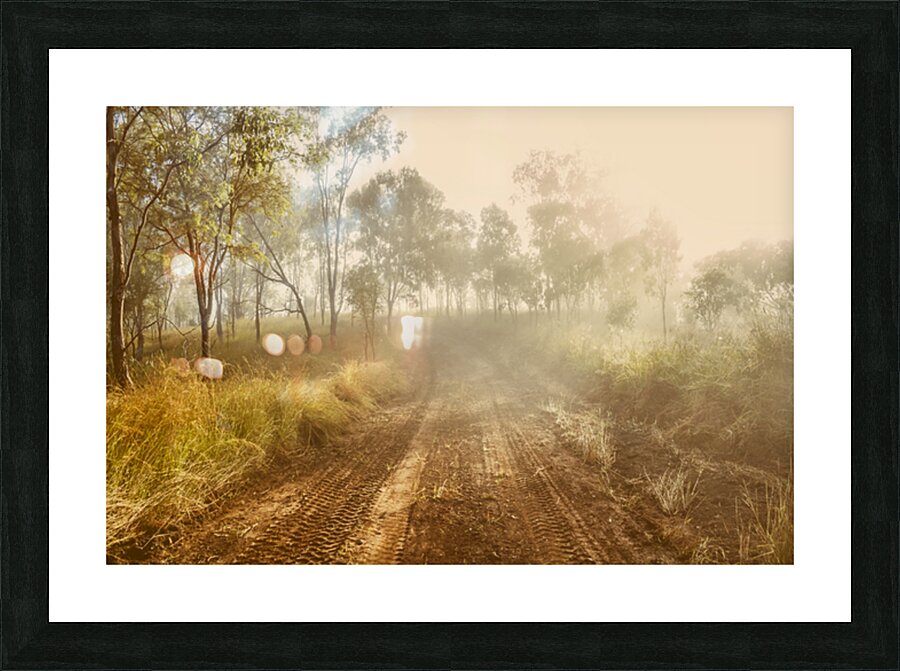 Bushland Backroad Picture Frame print