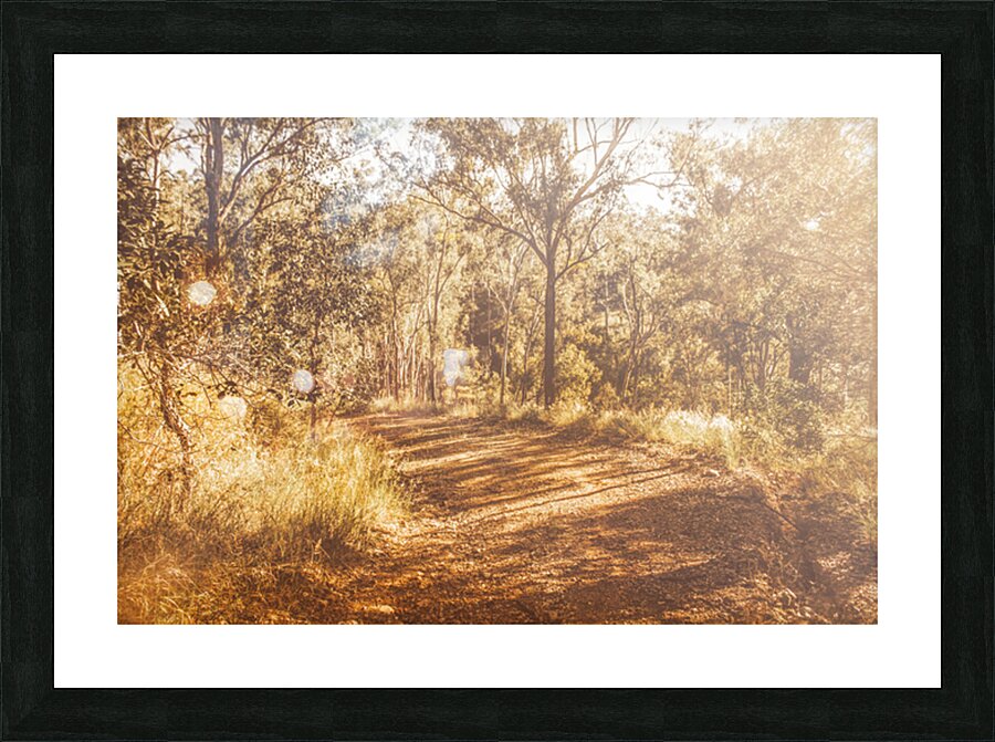 Wooded Trails Picture Frame print
