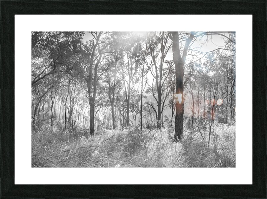 Inland Interplay Picture Frame print