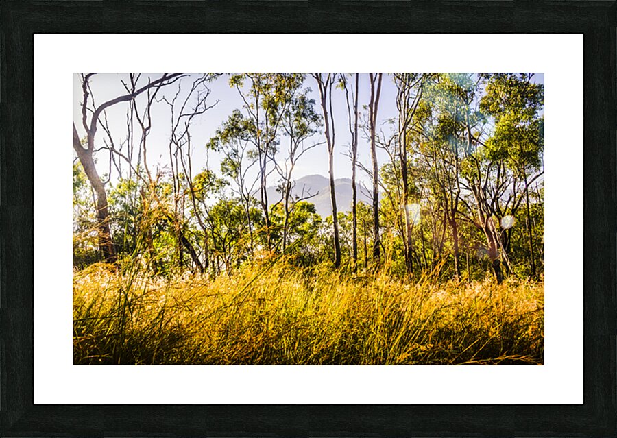 Golden views Picture Frame print