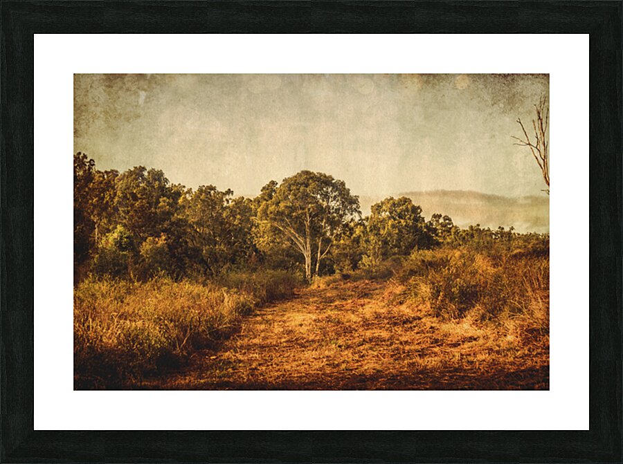 Wild Old Ways Picture Frame print