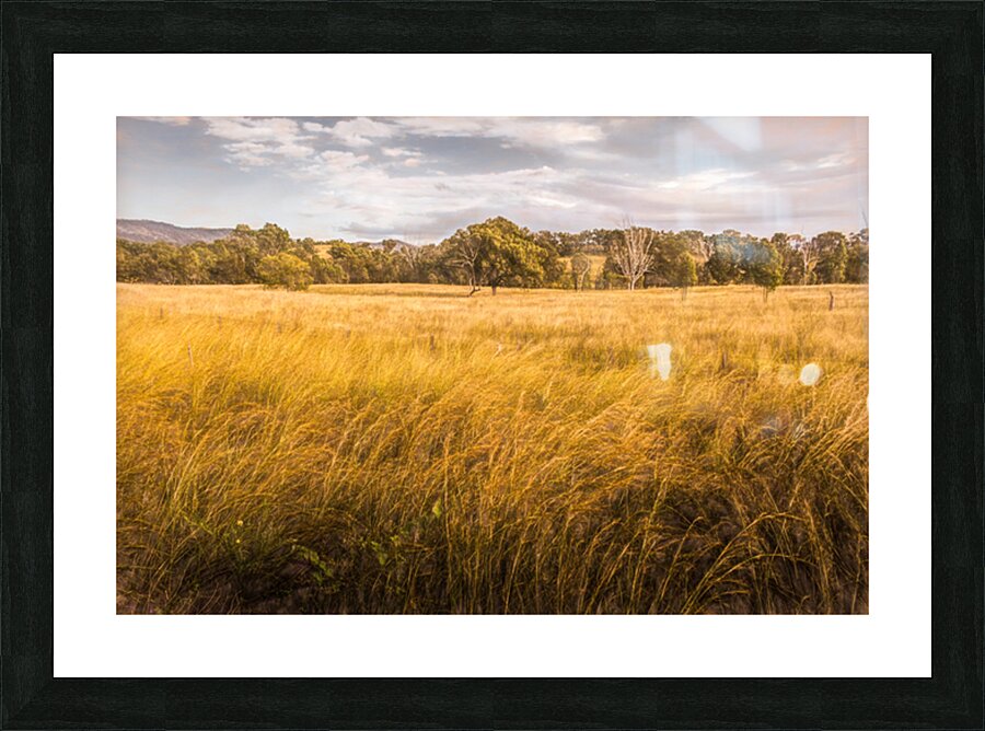 In The Outbacks Picture Frame print