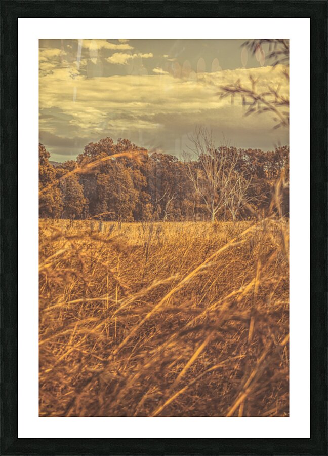 Wind And Fall Fields Picture Frame print