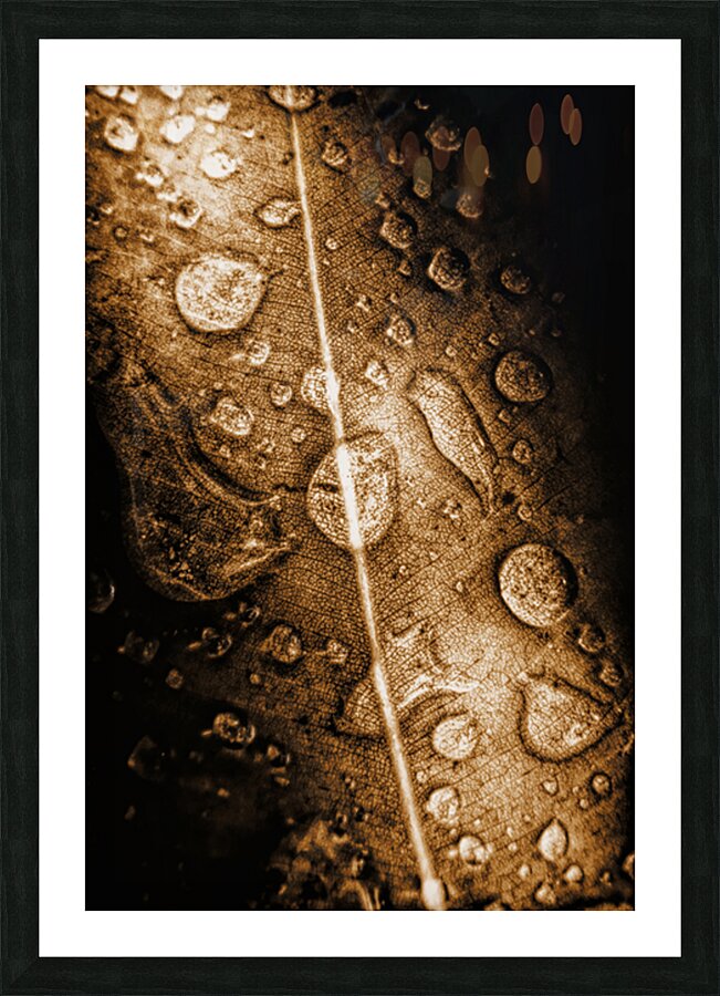 Fall In Rain Picture Frame print