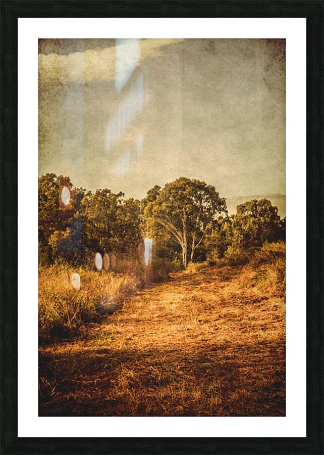 Country Weathered Picture Frame print