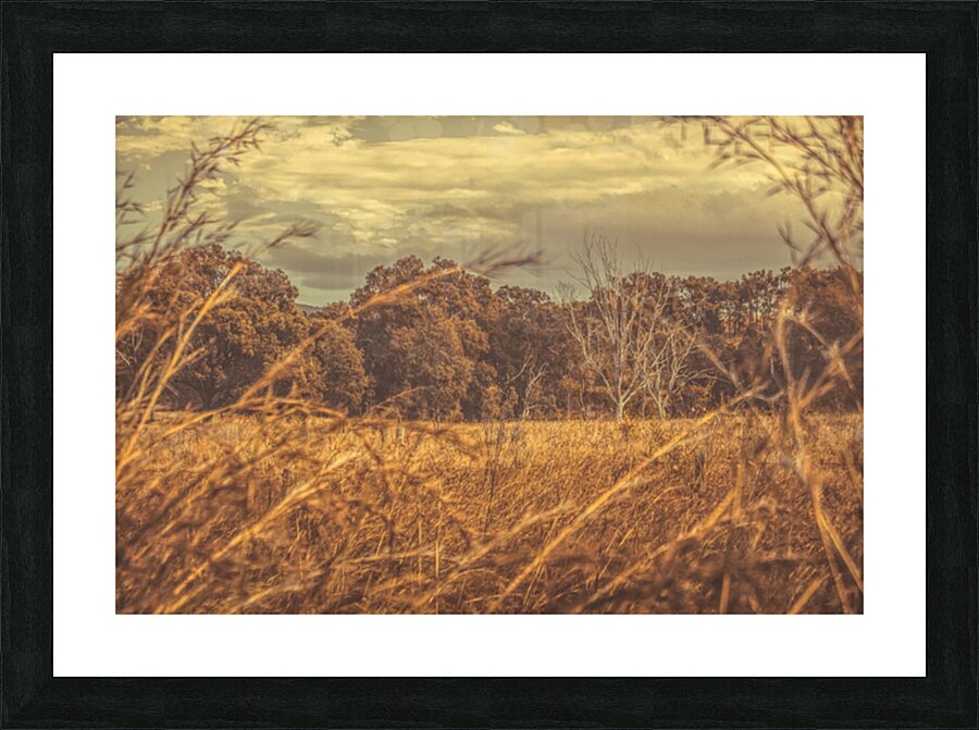 Wild Autumn Picture Frame print