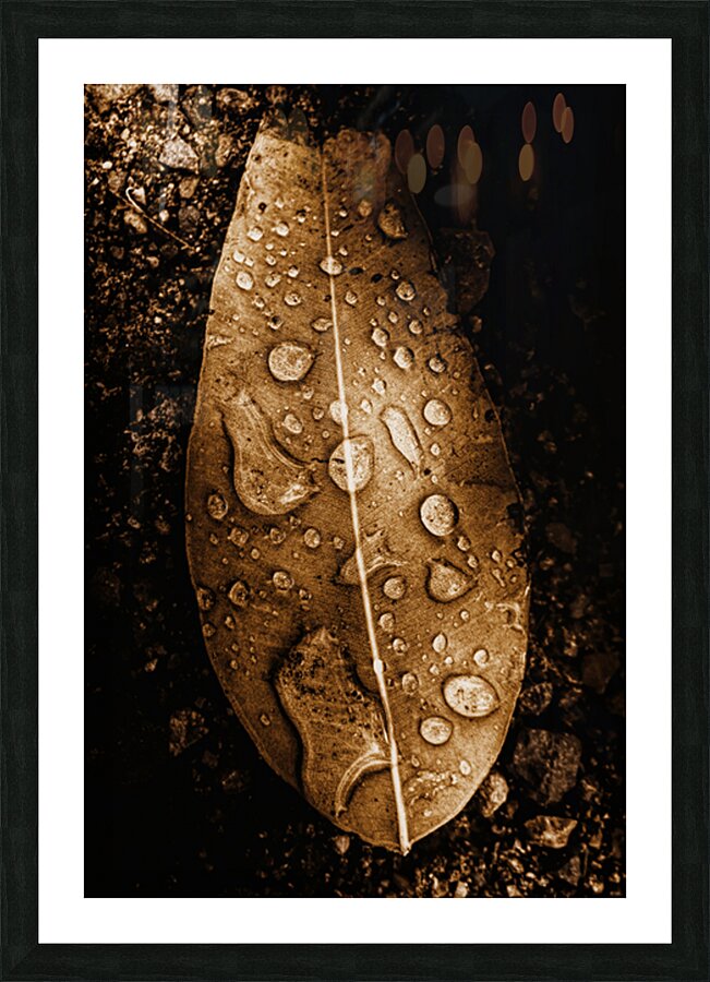 Autumn Rains Picture Frame print