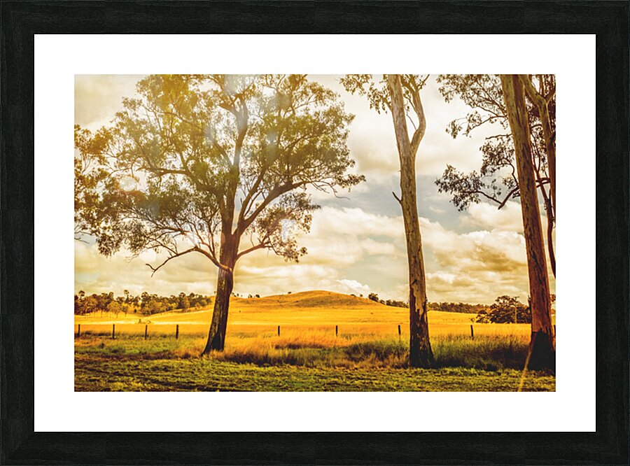 Gin Gin Golden Glow Picture Frame print