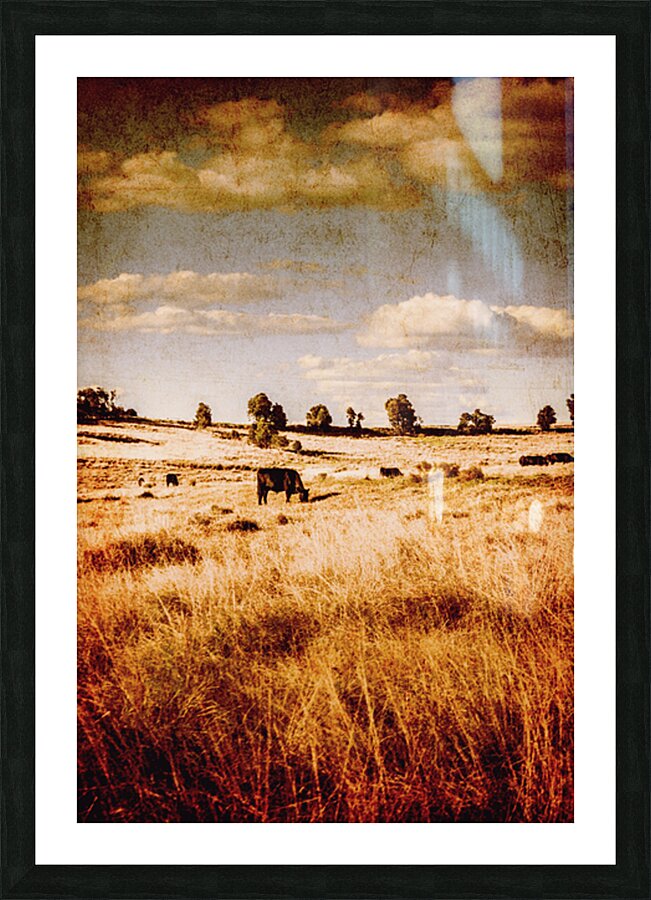 Weathered Farmstead  Picture Frame print